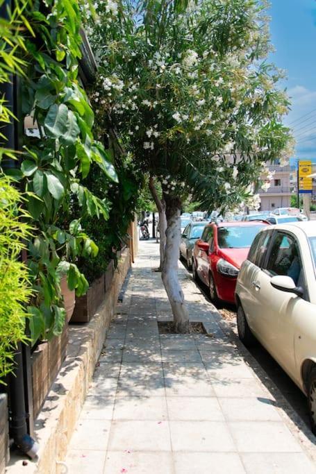 Kadiani's By 8essentially Chania (Crete)